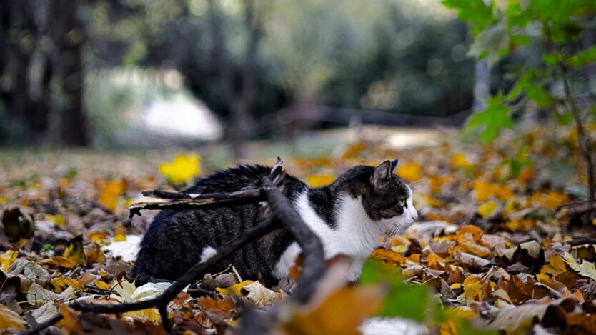 Прогноз погоды в Украине / Фото: Unsplash