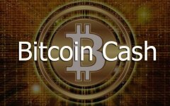 bitcoin-cash