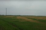 Засуха в Одесской области,гибель урожая в Одесской области,Максим Куцый,засуха в Украине