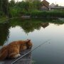 Прогноз погоды в Украине