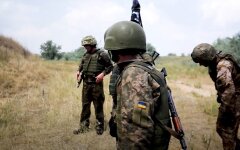 503 ОБМП