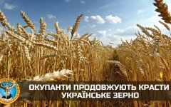 Українське зерно, фото