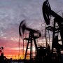 Российская нефть