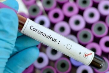 коронавирус 11