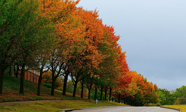 Прогноз погоди в Україні / Фото Unsplash