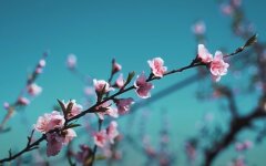 Погода в Украине, прогноз погоды, Наталя Диденко, погода в Киеве