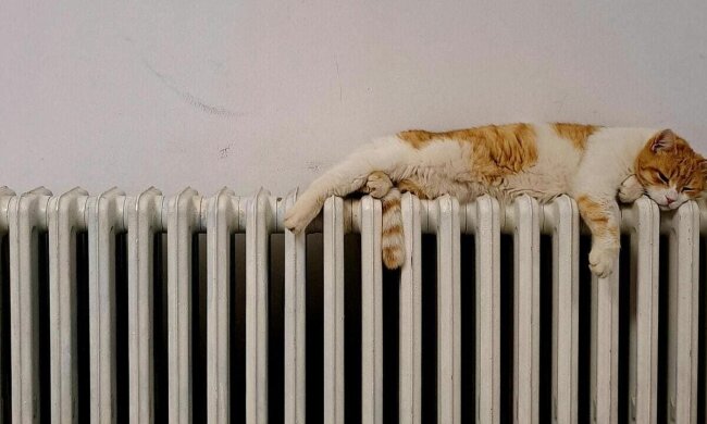 Тарифы на коммуналку / Фото: Pexels