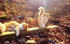 Прогноз погоды в Украине / Фото: pinterest.es