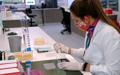Коронавирус, исследования, фармацевтическая компания Merck