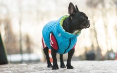 Прогноз погоды в Украине