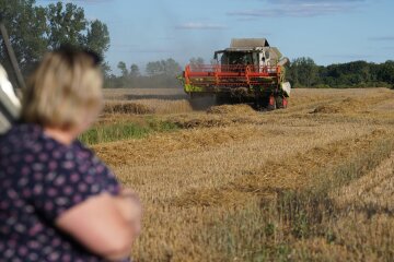 Ціни на землю в Україні / Фото: Getty Images