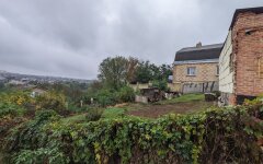 Висаджування дерев / Фото: prometei.ua