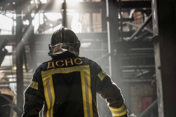 Спасатель ДСНС