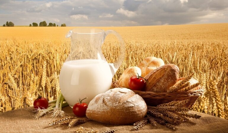 хлеб и молоко