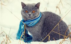 Прогноз погоды в Украине