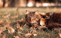 Прогноз погоди в Україні / Фото: Unsplash