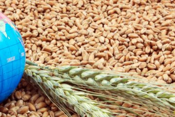 Єврокомісія домовилася з 5 країнами ЄС щодо українського зерна