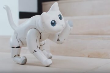 кошка-робот