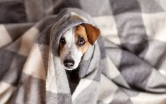 Прогноз погоды в Украине / Фото: Shutterstock