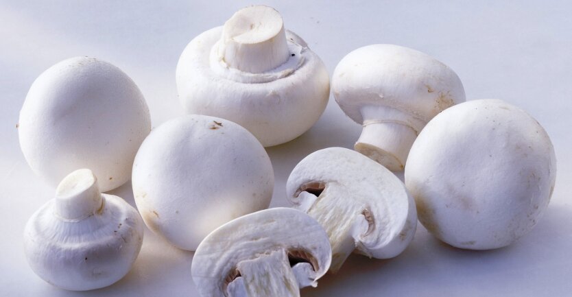 Ціни на гриби