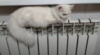 Повышение тарифов на тепло и горячую воду