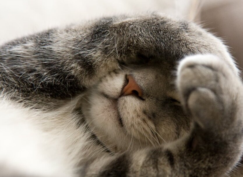 Прогноз погоды в Украине