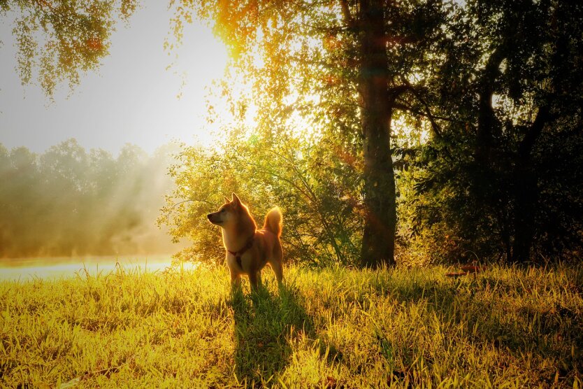 Прогноз погоды / Фото: pixabay.com