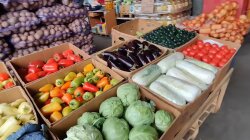 Иван Томич, Цены на продукты в Украине, Цены на овощи в Украине