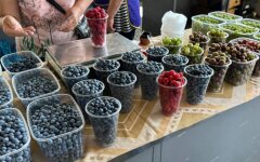 Ціни на лохину та малину в Україні