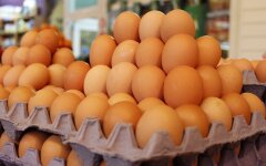 Цены на яйца в Украине / Фото 24 Канал