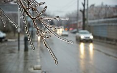 Дожди в Украине зимой