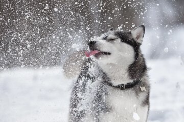 Прогноз погоди в Україні / Фото Shutterstock