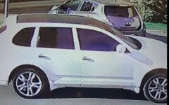 порш борщага