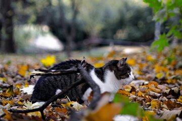 Прогноз погоди в Україні / Фото: Unsplash