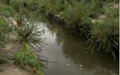 Река Лыбедь, Река Лыбедь пожелтела, Река Лыбедь в Киеве