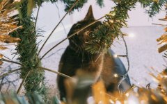 Прогноз погоды в Украине / Фото: pexels.com