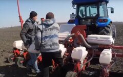 В Минэкономики отрапортовали, что происходит с посевной-2020