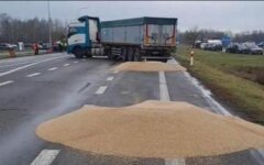 Польські фермери висипали на дорогу українське зерно