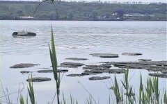 samara_river