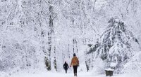 Морозы в Украине, зима в Украине