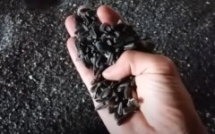 Уборка подсолнечника