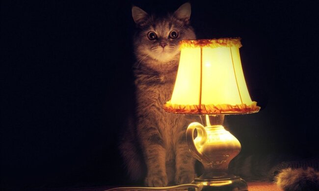 Отключения света