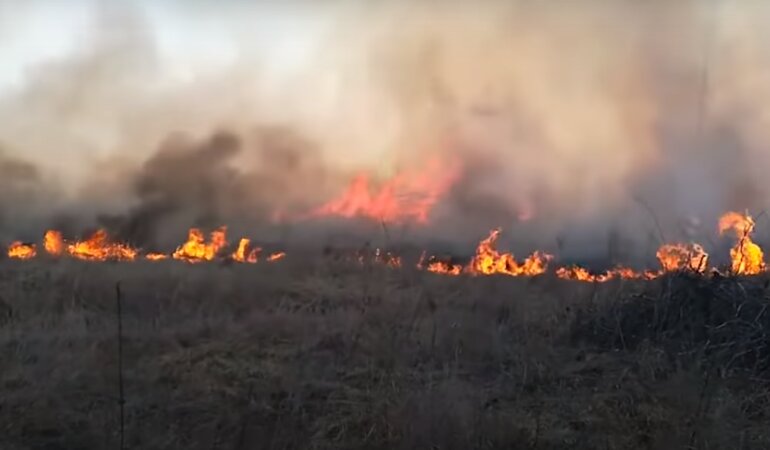 Пожар в Чернобыльской зоне
