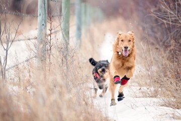 Прогноз погоди в Україні / Фото: Getty Images