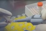 Украинцам назвали сроки поставки вакцины от коронавируса