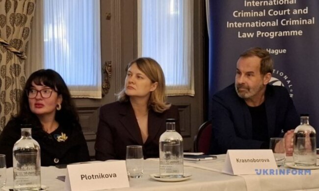 Мирослава Красноборова / Фото: Укрінформ