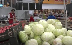 Цены на капусту