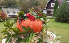 Погода в Украине на выходные