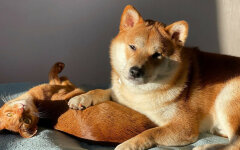 Прогноз погоды в Украине