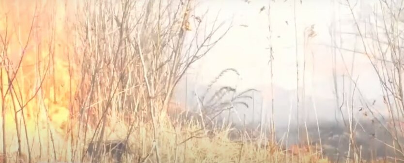 пожары в Украине,в Украине горят леса,пожар в зоне отчуждения ЧАЭС,пожар в Обуховском районе